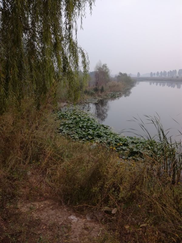 长治湿地公园最新动态，生态建设的蓬勃发展势头强劲