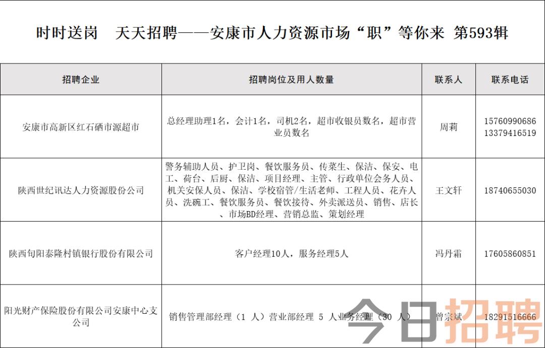 安阳最新职业信息港，职业发展的黄金起点